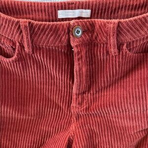 LC Lauren Conrad  Women’s Corduroy Trousers - Rust color.